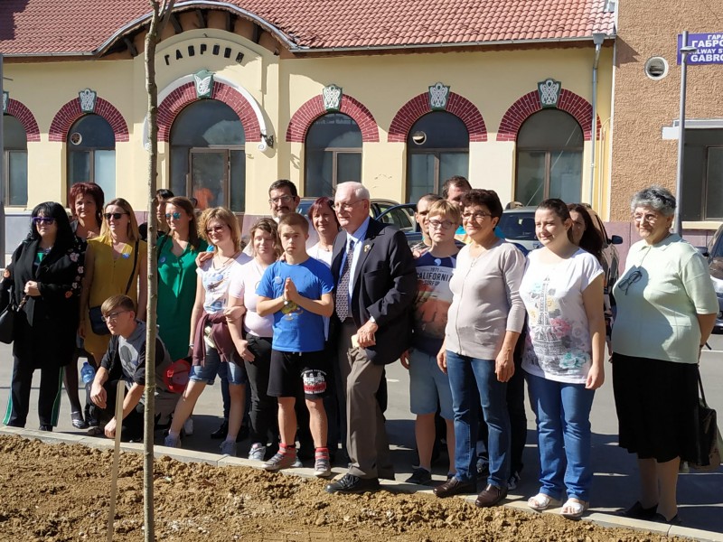 Снимка за Дърво на приятелството, символ на партньорствот...