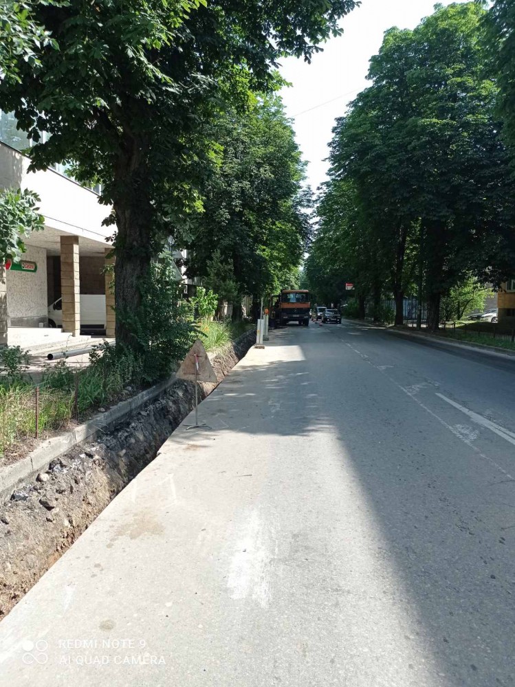 Снимка за 10569