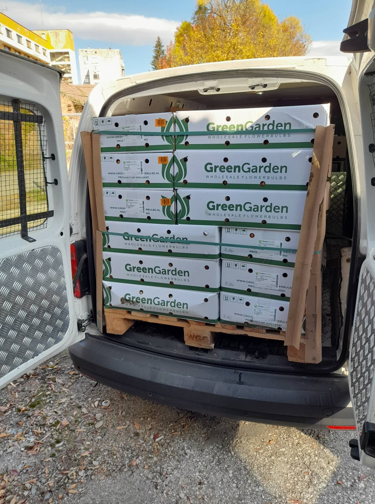 Снимка за 11543