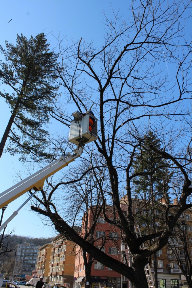 Снимка за 8175