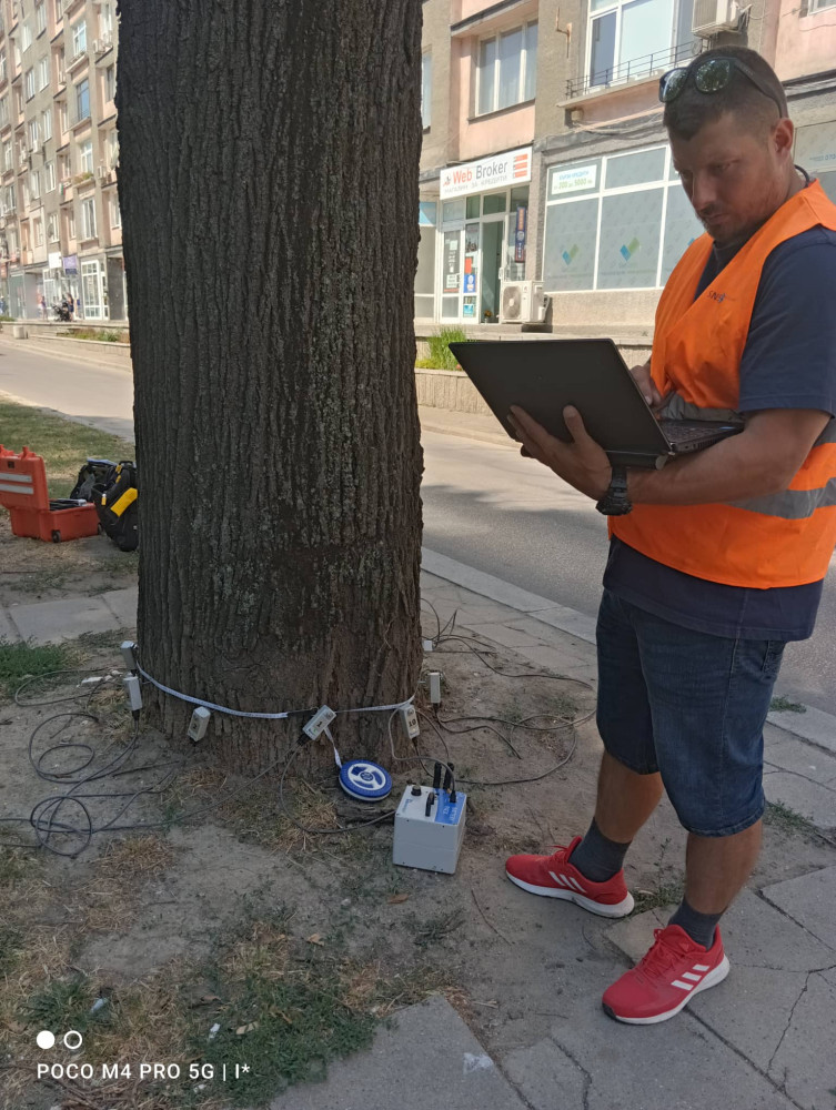 Снимка за 11378