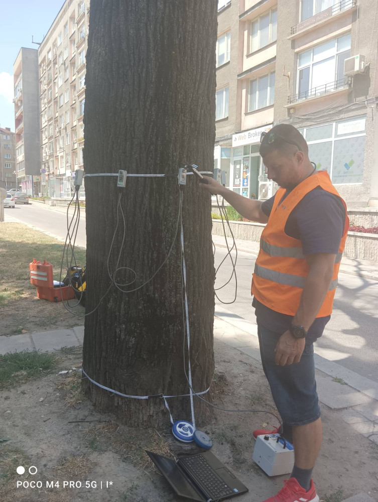 Снимка за 11388