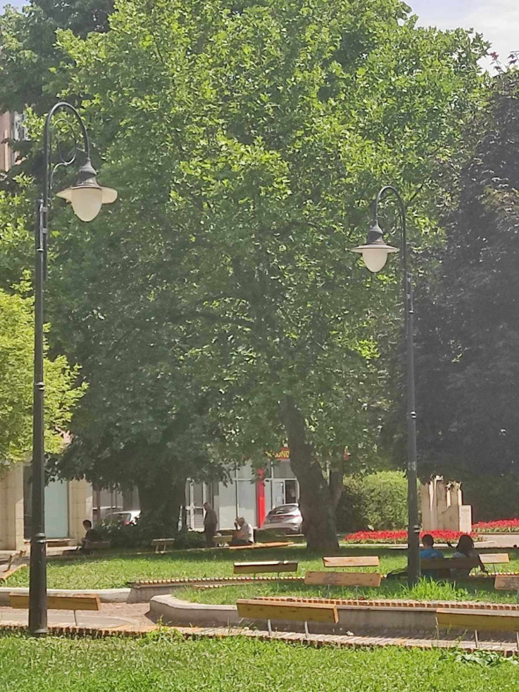 Снимка за 12098