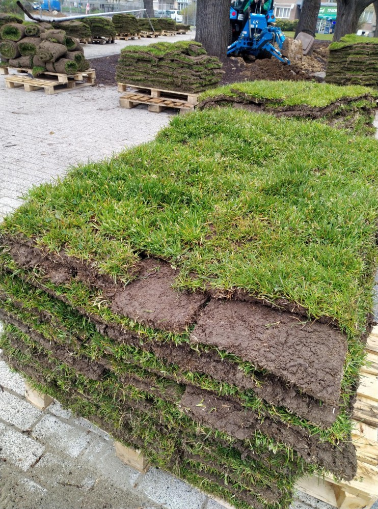 Снимка за 10166