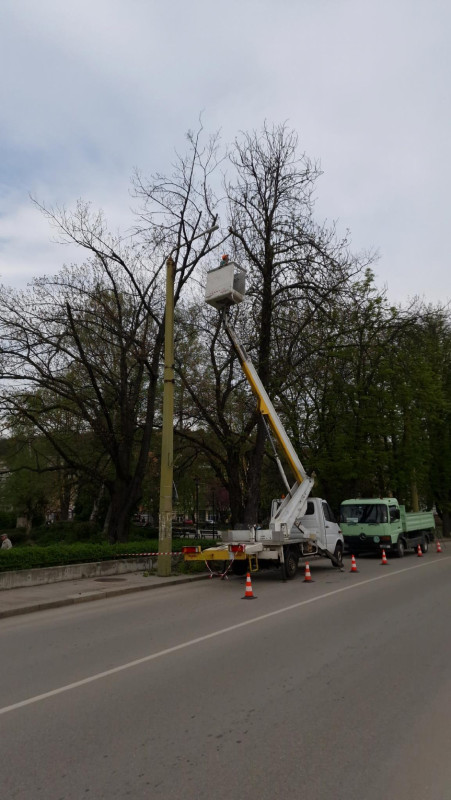 Снимка за ОП "Благоустрояване" ще извърши кастрене на кло...