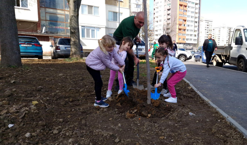 Снимка за Над 30 дървета допълват благоустроената зона по...