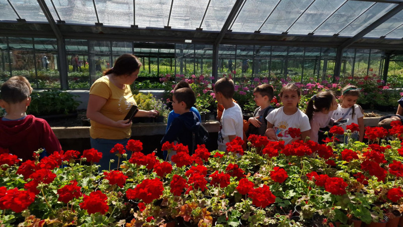 Снимка за Ученици от габровските училища се запознават с ...