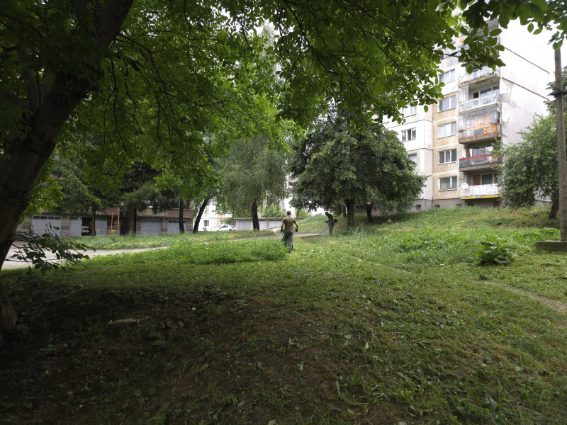 Снимка за Седмичен график за поддръжка на зелените площи ...