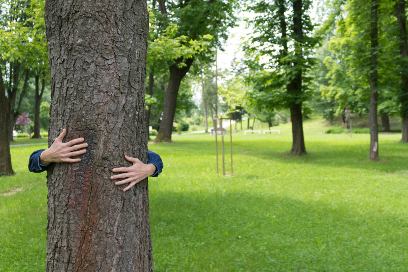 Снимка за Габрово прави нова зелена стратегия