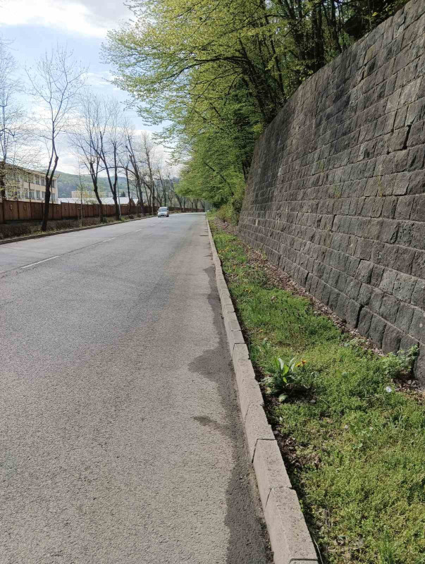 Снимка за Започна косенето на тревните площи и пролетното...