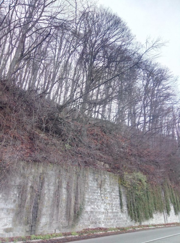 Снимка за Временно ограничаване на движението