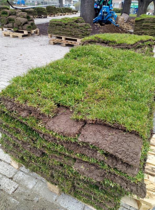 Снимка за Временно ограничение на движението зад храм „Ус...