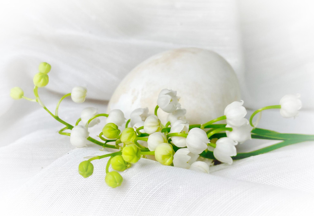 Снимка за 11887