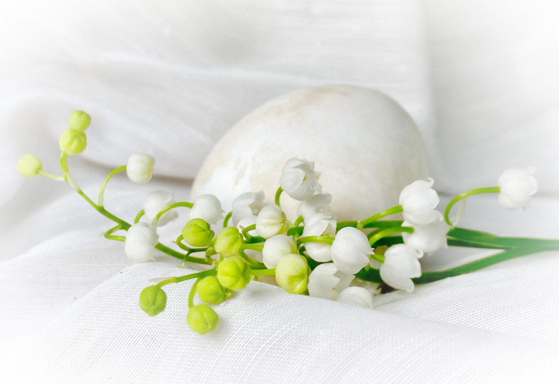 Снимка за Таня Христова: Пожелавам на Вас и Вашите семейс...