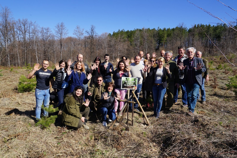 Снимка за 180 борови фиданки в местността Градище засади ...