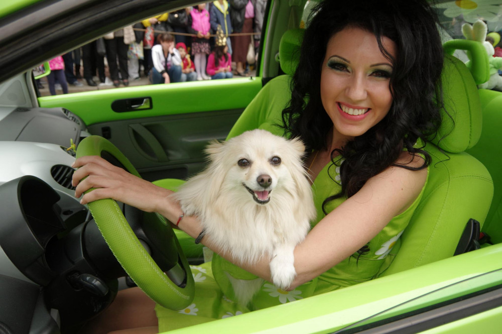 Снимка за 7816