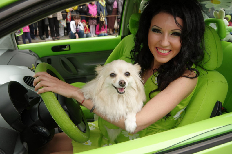 Снимка за Улици – отворени, затворени, карнавални… Реорга...