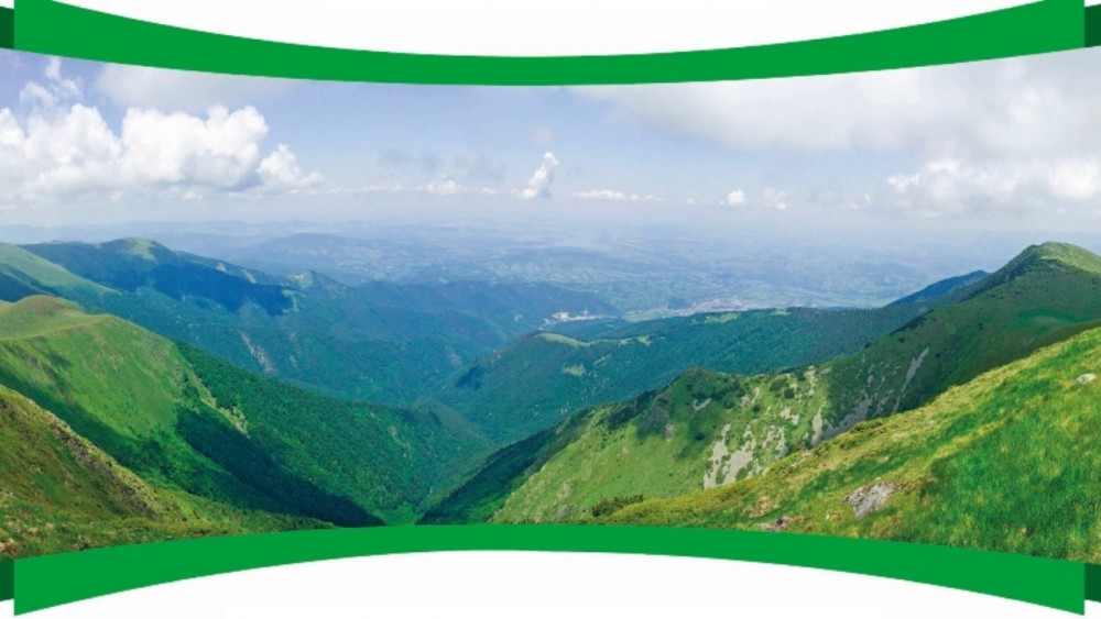 Снимка за 7506