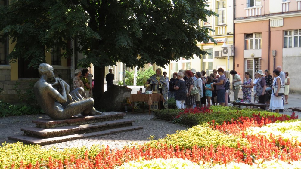 Снимка за 8131