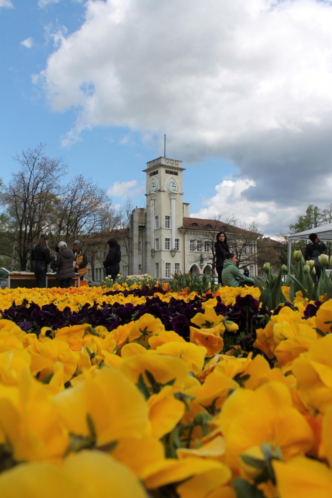 Снимка за 7176