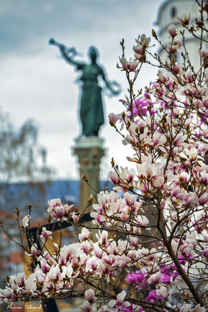 Снимка за 12100