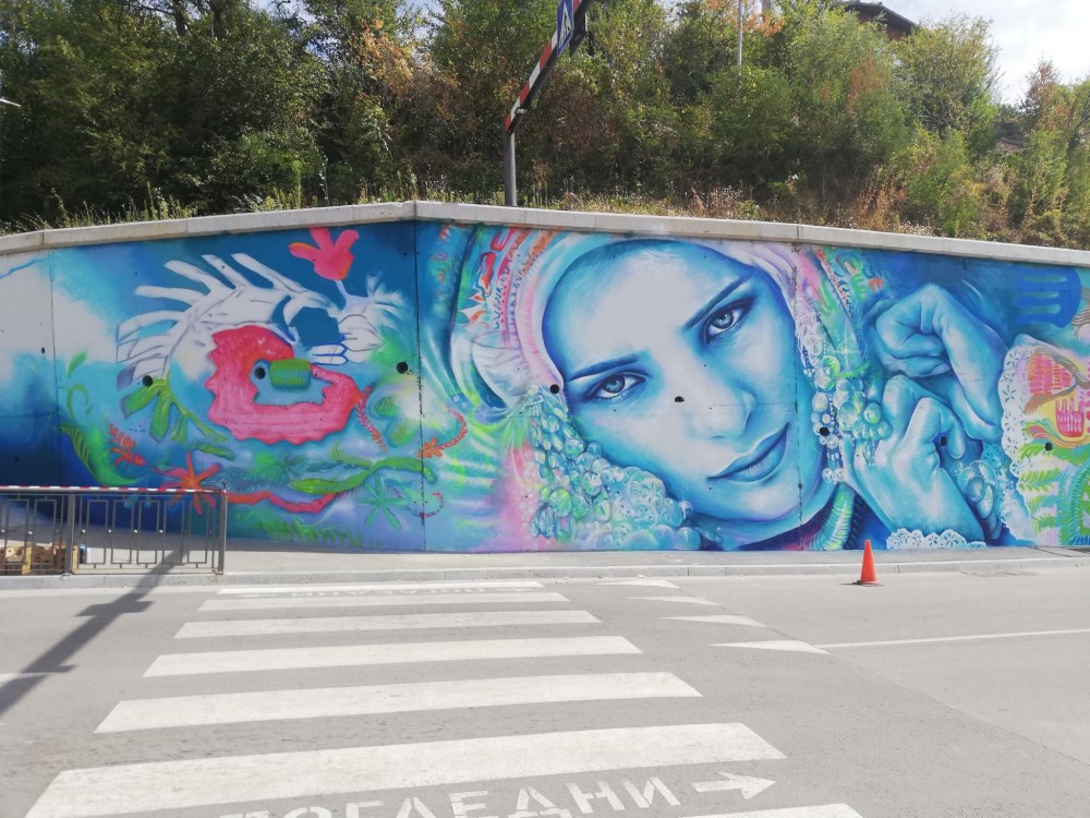 Снимка за 11043