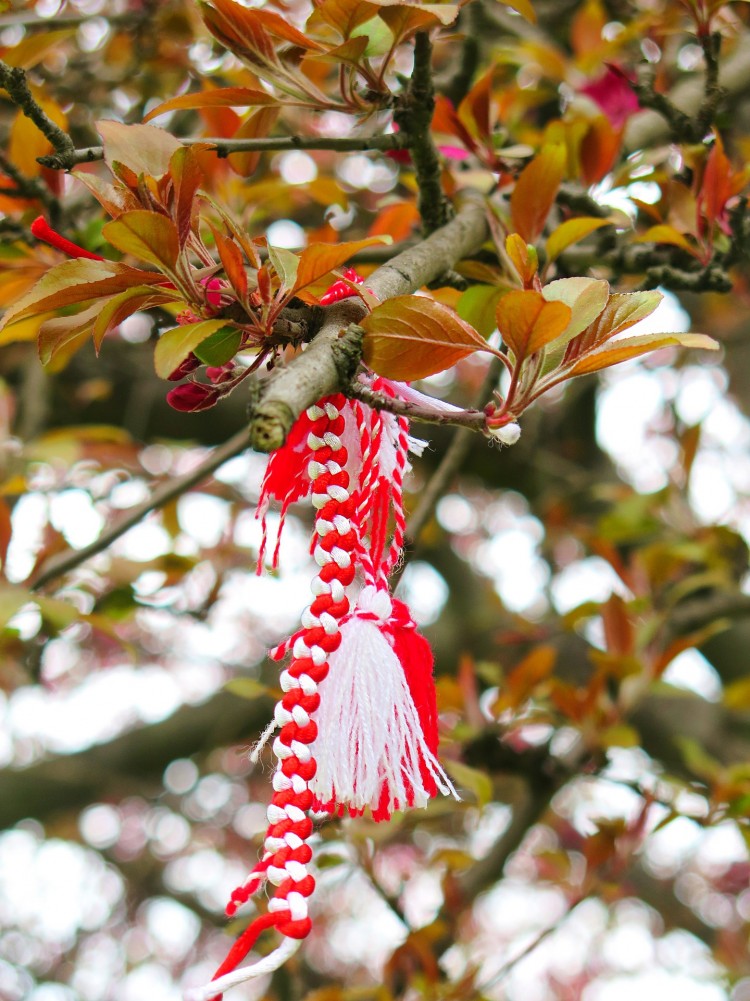 Снимка за 8744