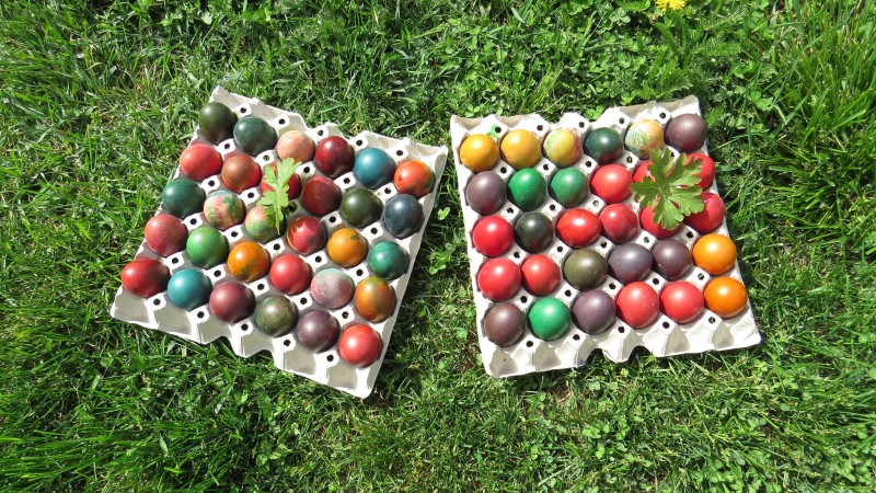 Снимка за Деца боядисаха яйца в центъра на Габрово