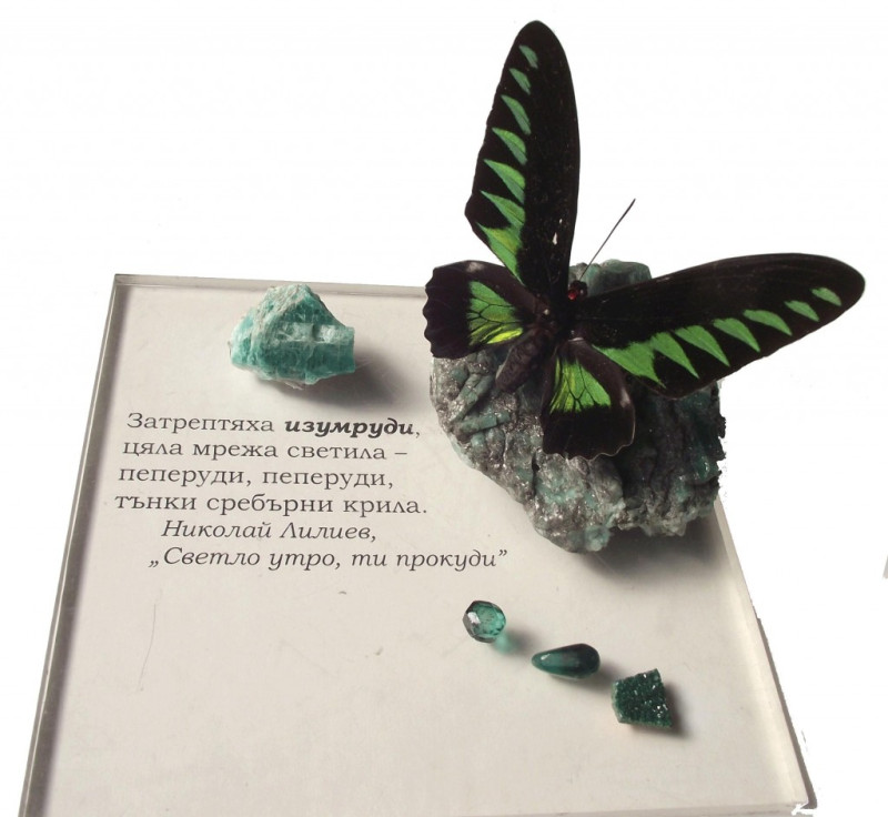 Снимка за Изложба на скъпоценни камъни показват в музей „...