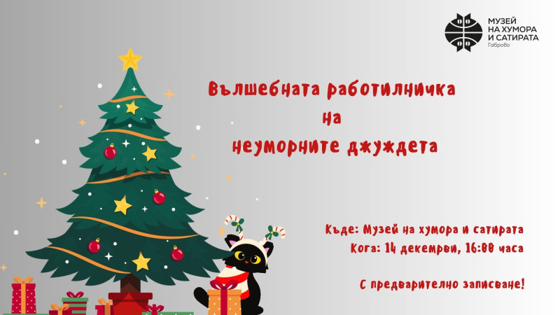 Снимка за Работилница за коледни котета отваря в ДХС