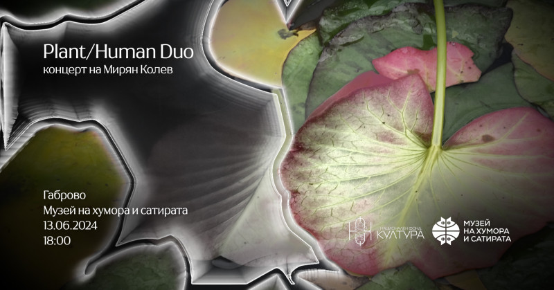 Снимка за Музикантът Мирян Колев показва как звучат расте...