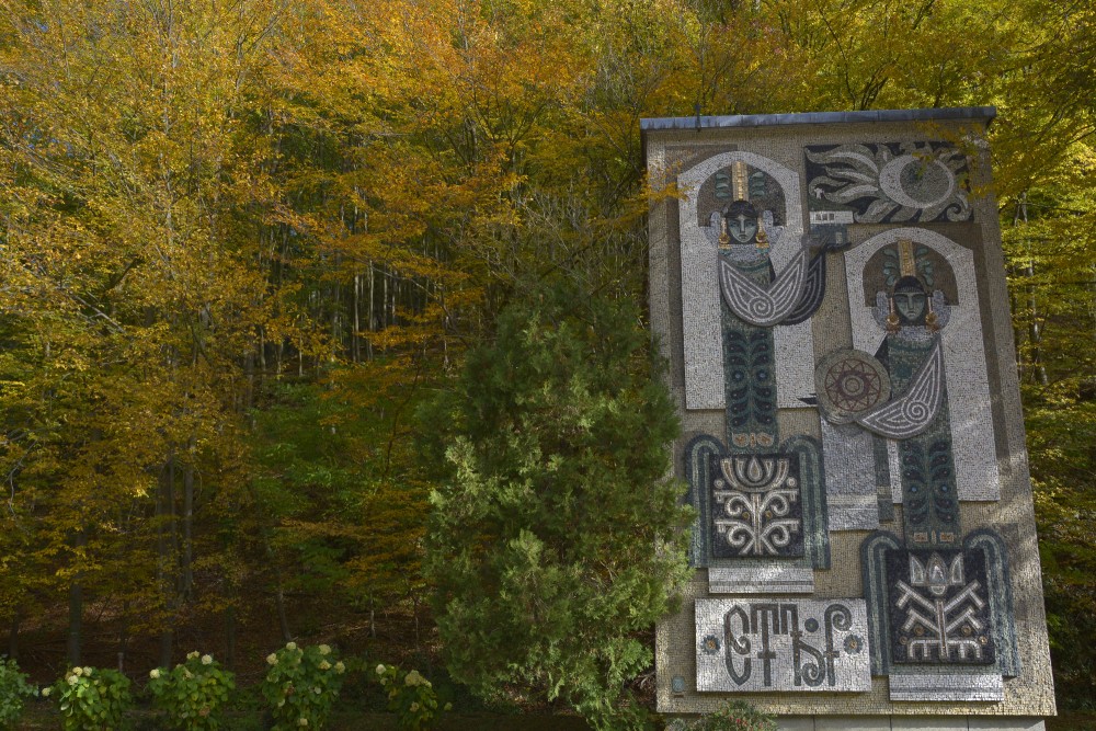 Снимка за 9655