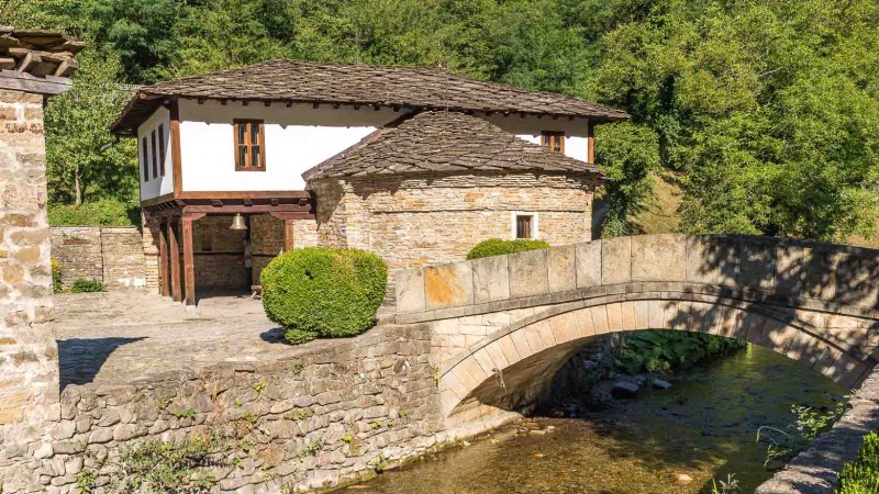 Снимка за Седмокласници от софийско училище на виртуална ...