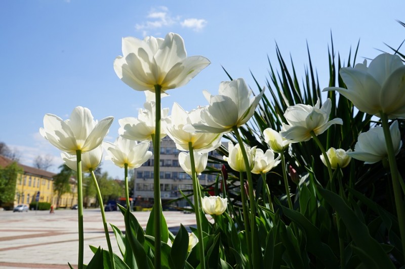 Снимка за 160 години Габрово - град