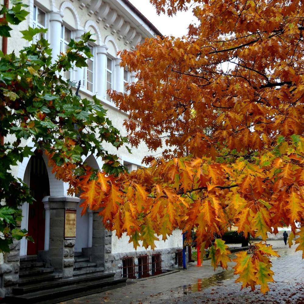 Снимка за 10677