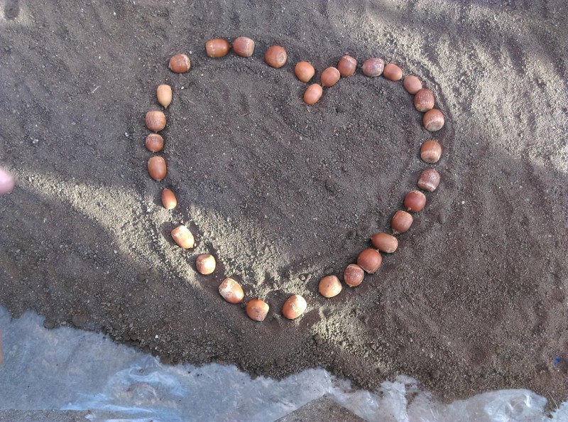 Снимка за Учениците от III A клас на СУ „Отец Паисий“ - Г...