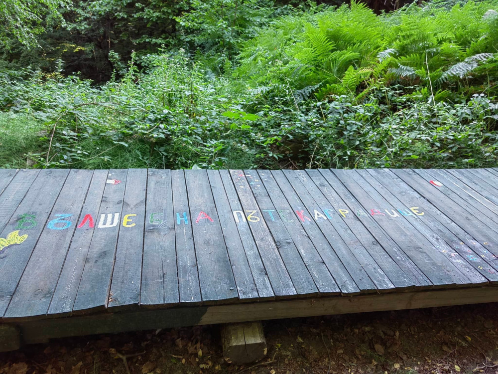 Снимка за 11427