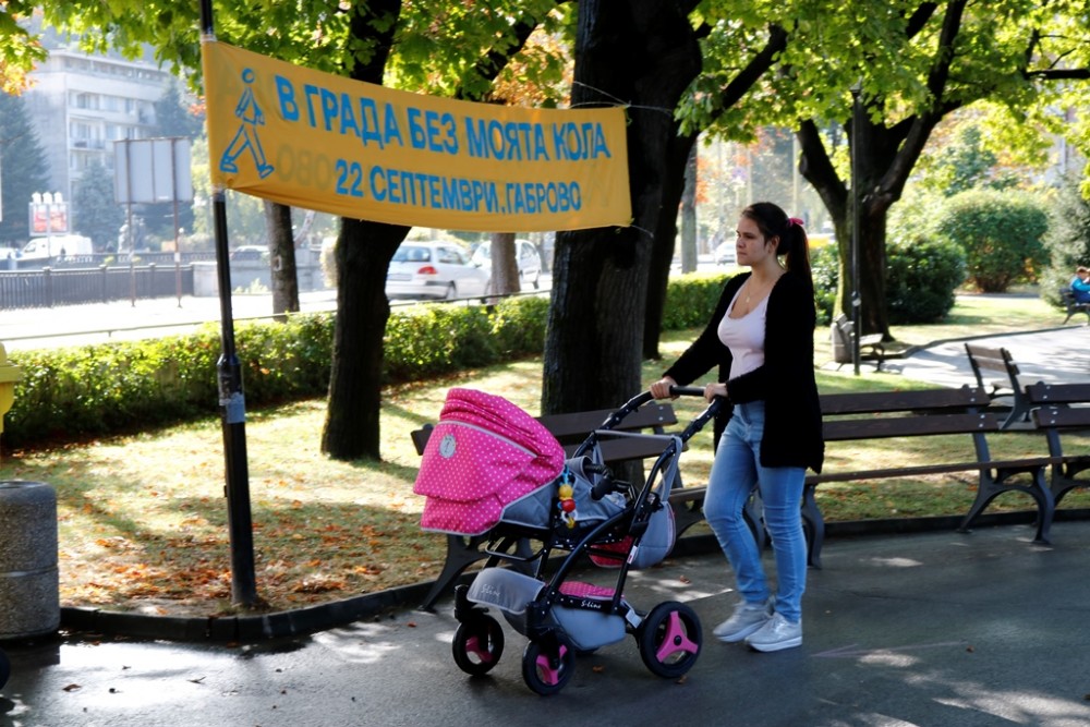 Снимка за 8256