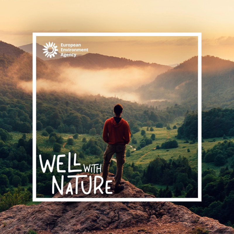 Снимка за Фотоконкурс търси най-добрите снимки, запечатал...