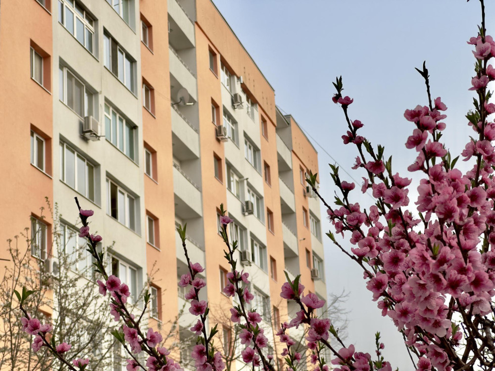 Снимка за 13359