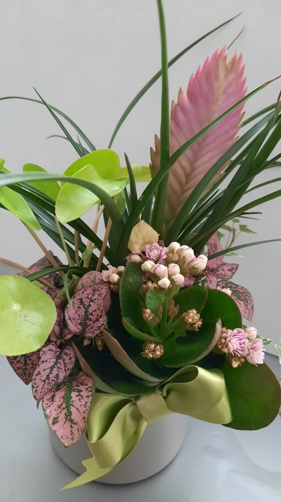 Снимка за 9527