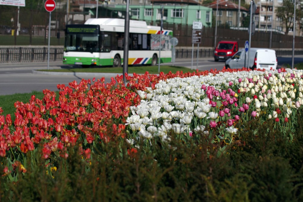 Снимка за 8356