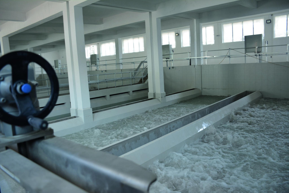 Снимка за 9299