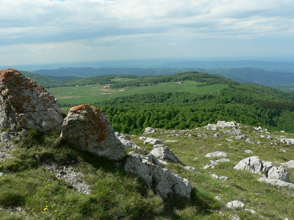 Снимка за 11534