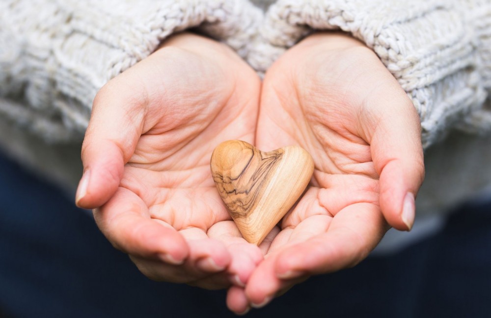 Снимка за 8793