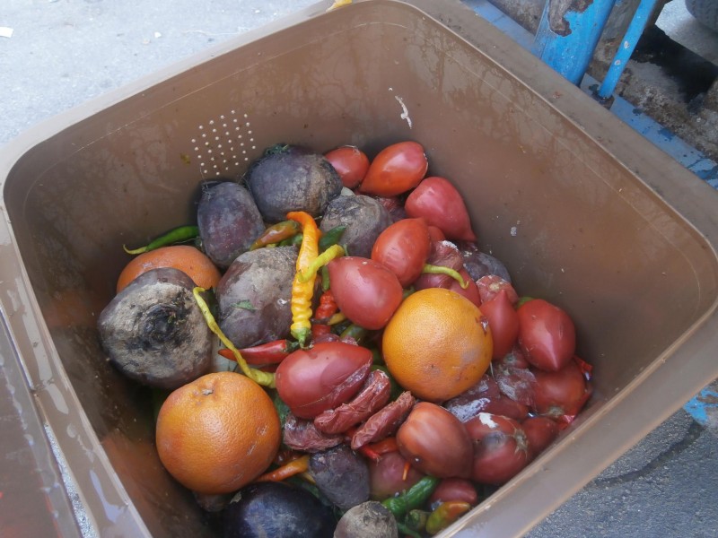 Снимка за 1 500 кг чист био отпадък само за 10 дни