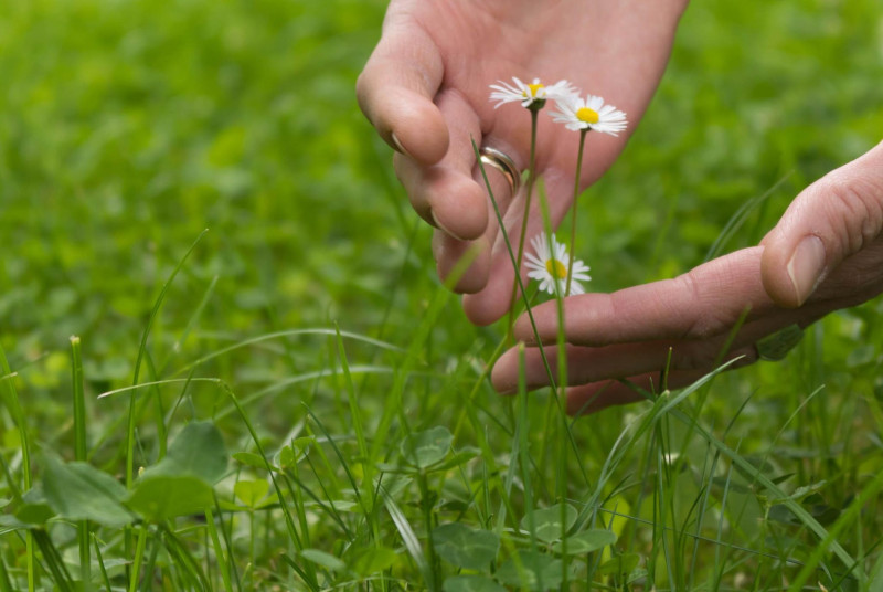 Снимка за Очакваме мнението Ви в анкета за околната среда