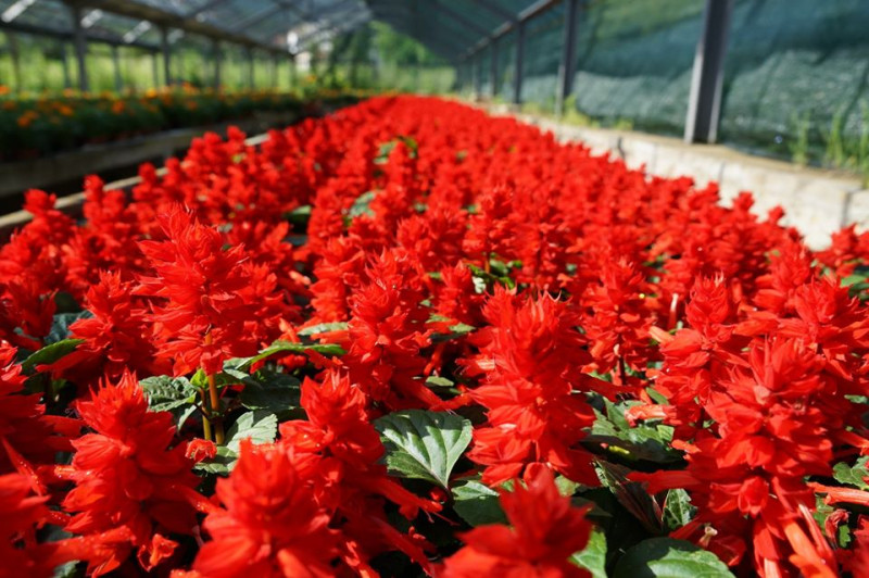 Снимка за Награди от вендиг системата – месец юни