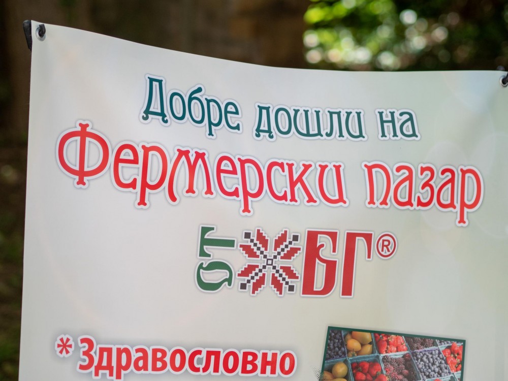 Снимка за 9338