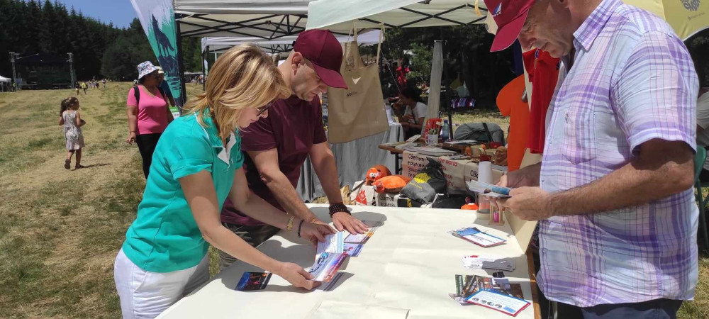 Снимка за 12096